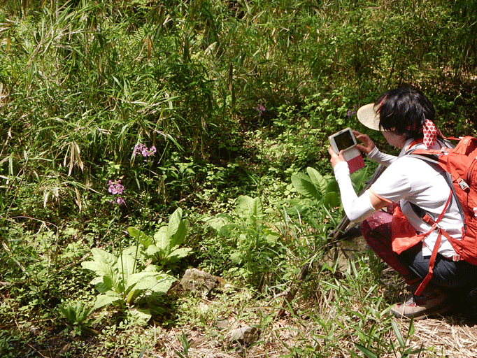 e0371039_21282792.gif