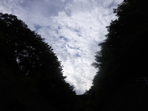 a0054240_21240211.jpg