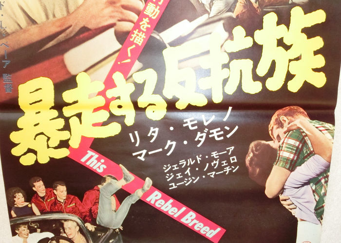 a0266240_16341185.jpeg