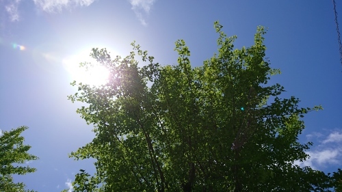 f0326946_00314330.jpg