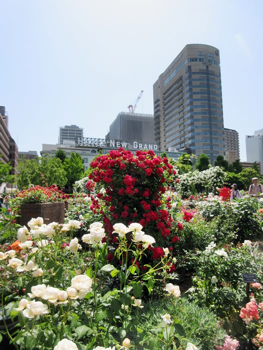 b0009849_10362055.jpg