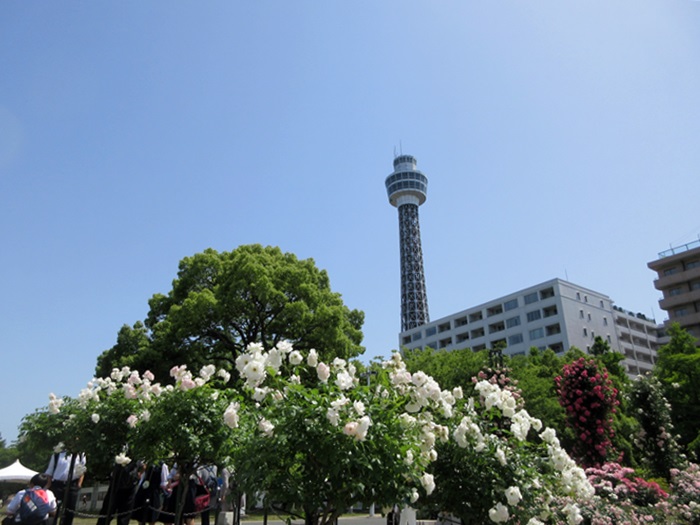 b0009849_1037573.jpg