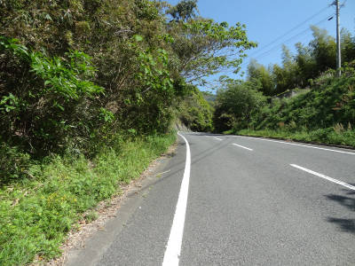 e0033751_1711498.jpg