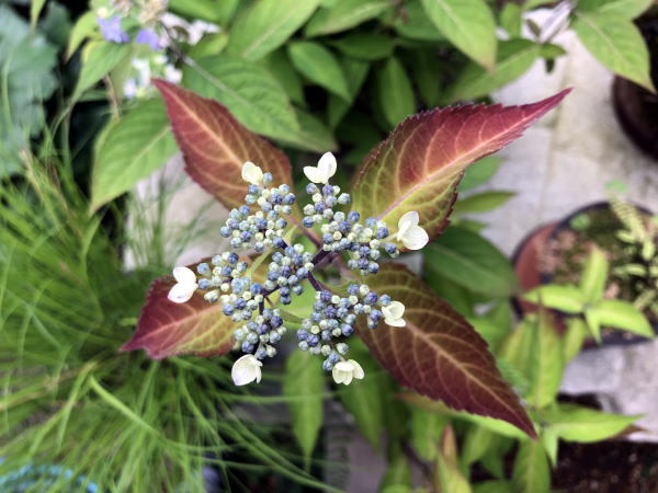 c0147952_21093101.jpg