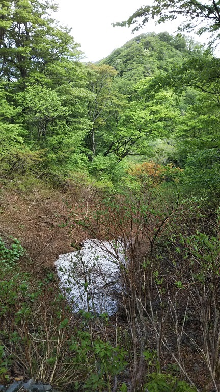 大山・ユートピア登山ツアー_d0007657_16424182.jpg