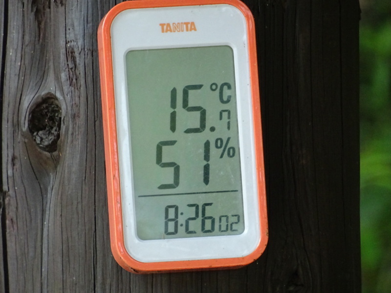 c0108460_20164525.jpg