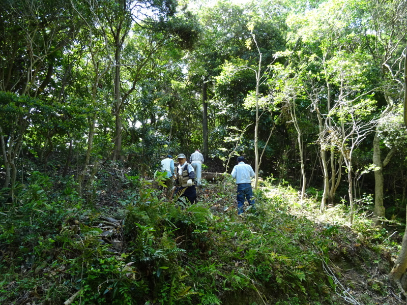c0108460_20195887.jpg