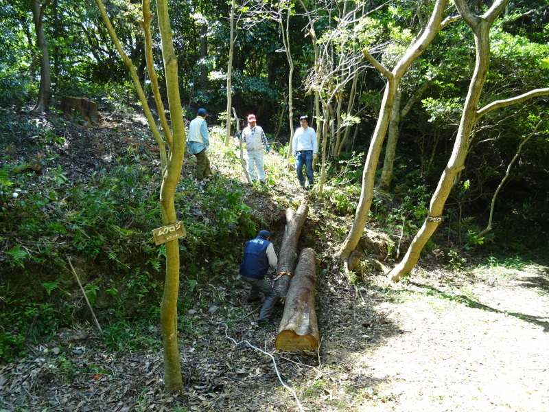 c0108460_20302778.jpg
