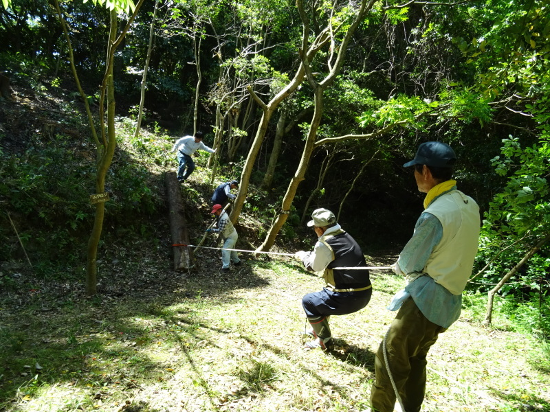 c0108460_20302809.jpg
