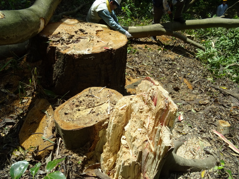 c0108460_20330310.jpg