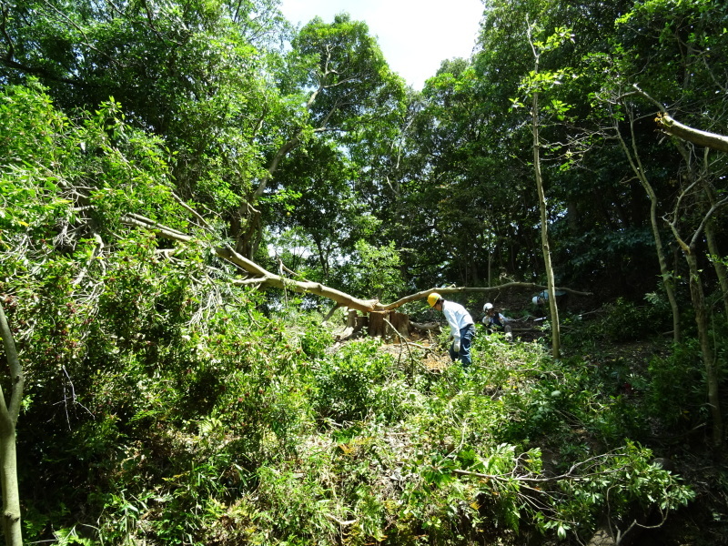 c0108460_20330436.jpg
