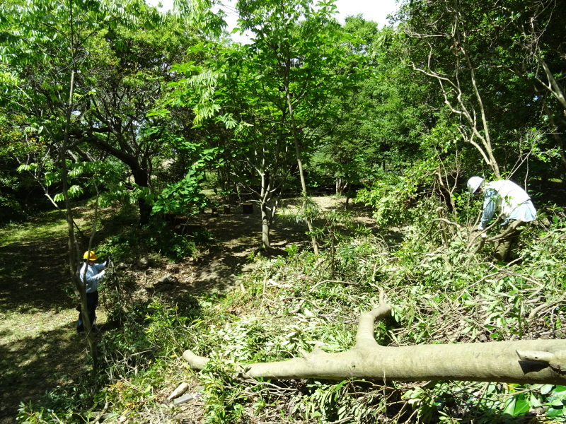 c0108460_20333438.jpg