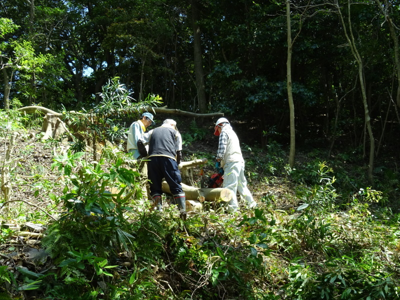 c0108460_20340348.jpg