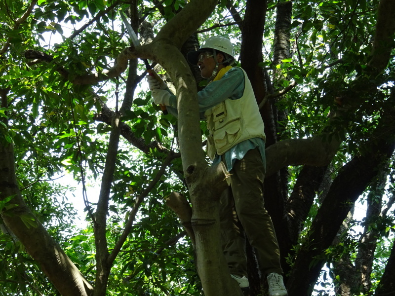 c0108460_20390861.jpg