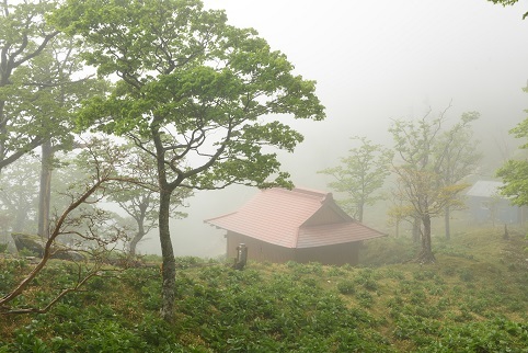 霧に溶け込むシロヤシオ　　釈迦ヶ岳～石楠花岳_c0303868_12585370.jpg