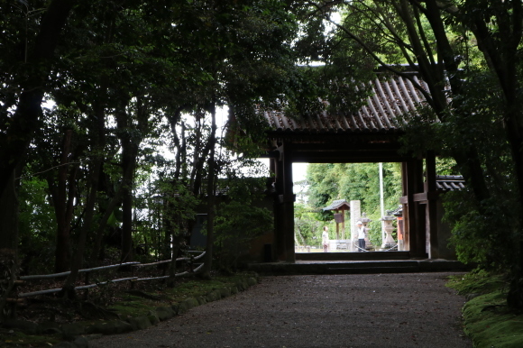 あやめ池商友会 再訪(奈良県奈良市)_c0001670_18021671.jpg