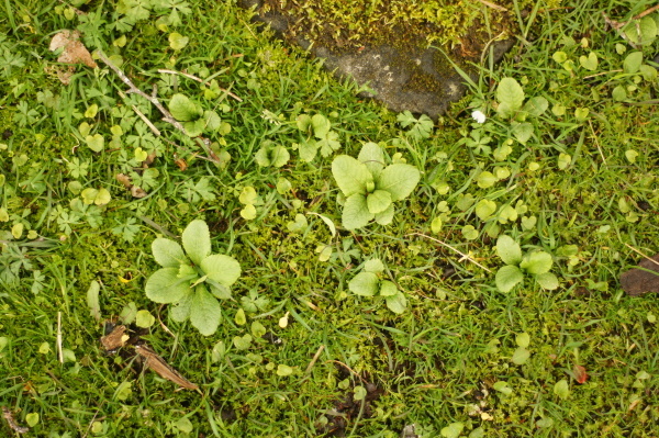 f0235376_08315557.jpg