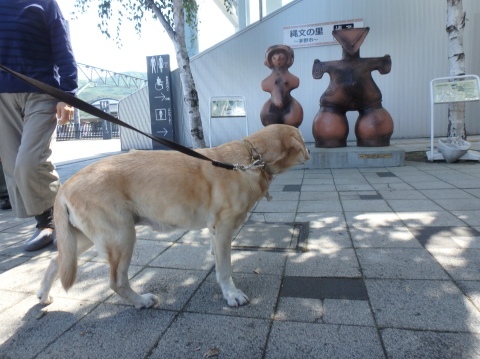 目に青葉　山ホトトギス　初苺_f0052277_21220725.jpg