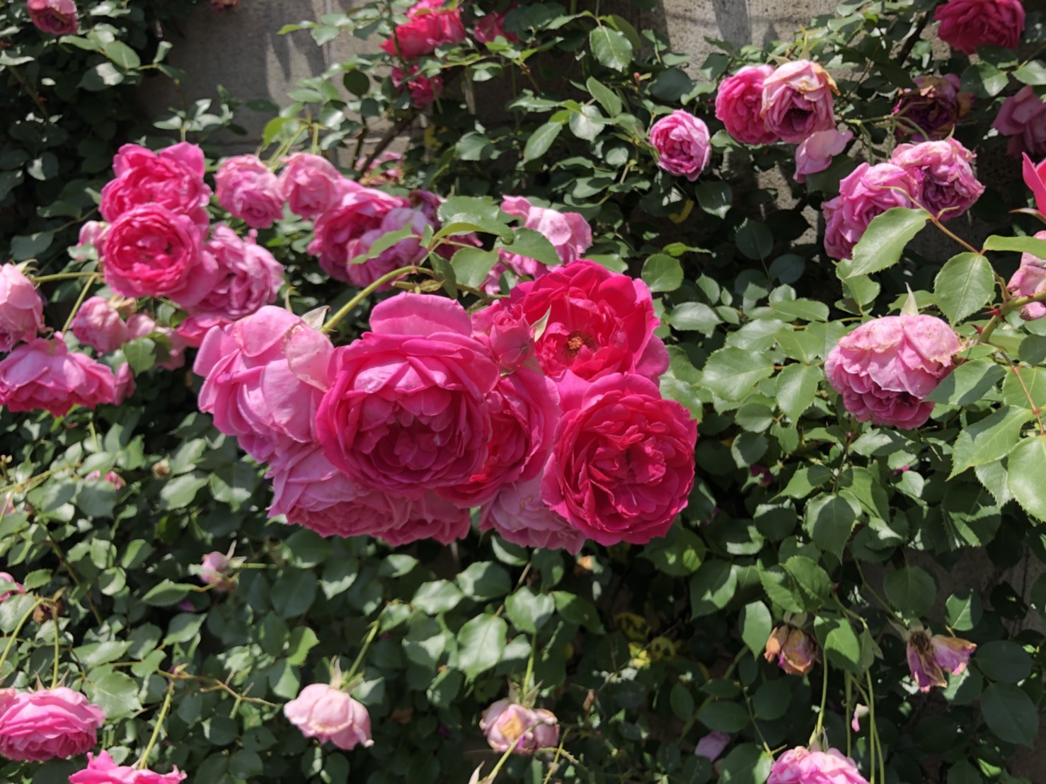 a0252678_15270021.jpeg