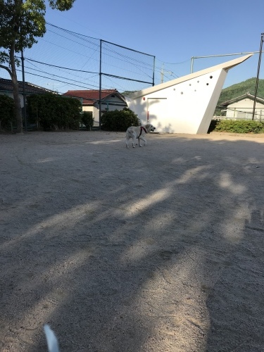 f0315081_23174121.jpeg