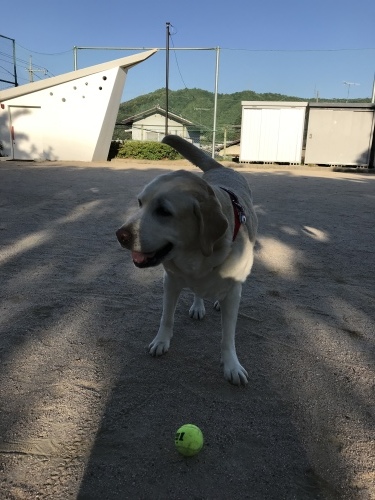 f0315081_23180390.jpeg