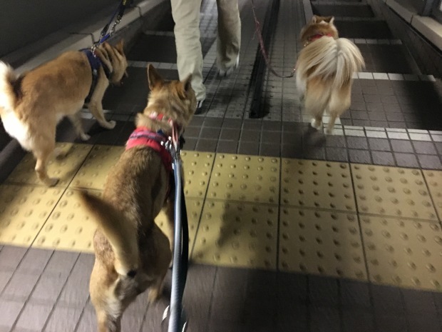 b0377882_23311132.jpeg
