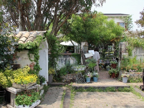 泉南の有名な3つの園芸店巡り ロベリア 金久 リル シュル ラ リング Soleilの庭あそび 布あそび 泉南の有名な3つの園芸店巡り ロベリア 金久 リル シュル ラ リング Soleilの庭あそび 布あそび