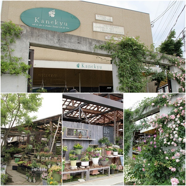 泉南の有名な3つの園芸店巡り ロベリア 金久 リル シュル ラ リング Soleilの庭あそび 布あそび 泉南の有名な3つの園芸店巡り ロベリア 金久 リル シュル ラ リング Soleilの庭あそび 布あそび