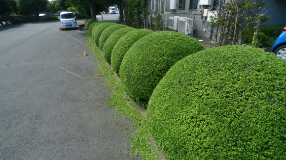 c0212083_18504404.jpg