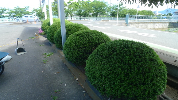 c0212083_18510762.jpg