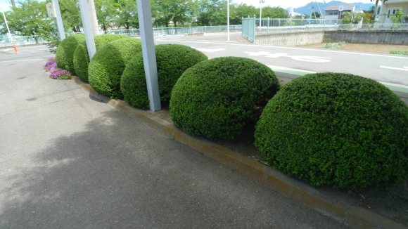 c0212083_18511760.jpg