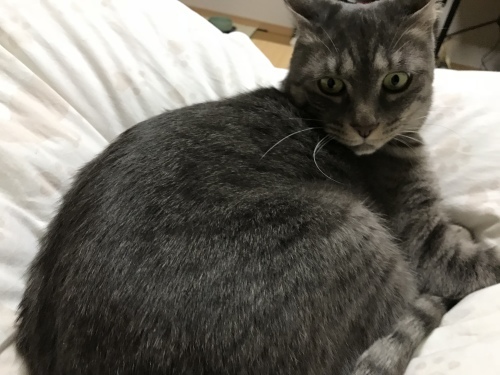 c0340786_13565526.jpeg