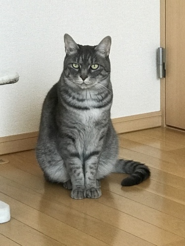 c0340786_13591014.jpeg