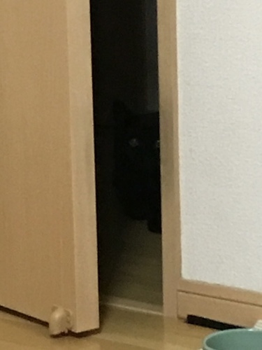 c0340786_14001430.jpeg