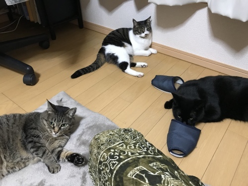 c0340786_14021275.jpeg