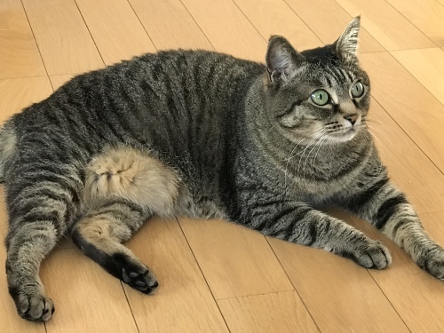 c0340786_14090413.jpeg