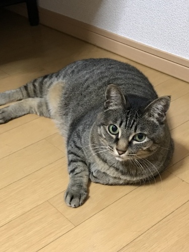 c0340786_14133233.jpeg