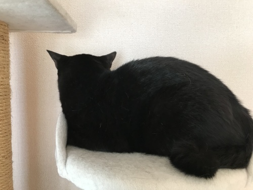 c0340786_14162735.jpeg