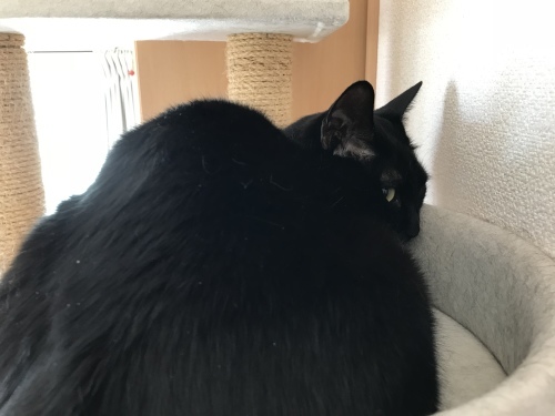 c0340786_14164143.jpeg