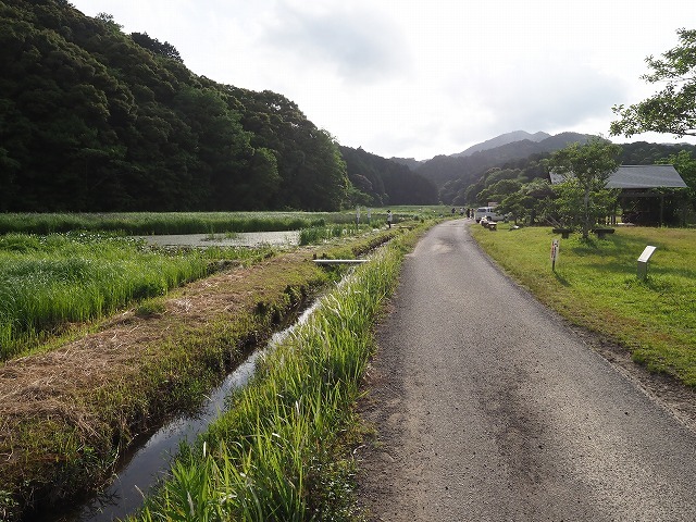 d0156387_21265014.jpg