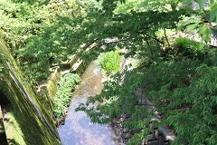 d0183387_12060557.jpg