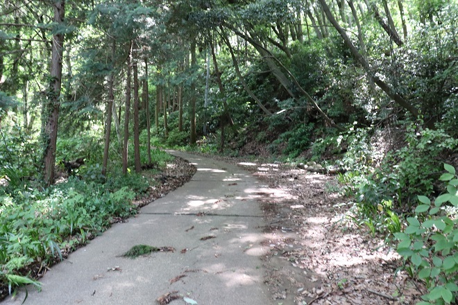 d0183387_22201976.jpg