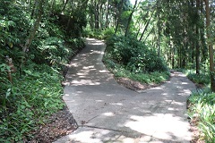 d0183387_22203440.jpg