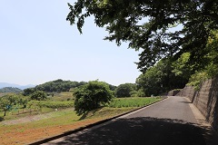 d0183387_22405339.jpg