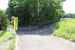 d0183387_22410164.jpg