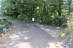d0183387_23052736.jpg