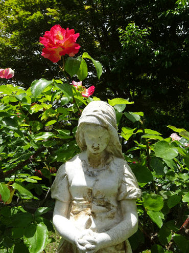 c0168990_18443282.gif
