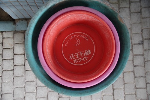 b0119493_18531569.jpg