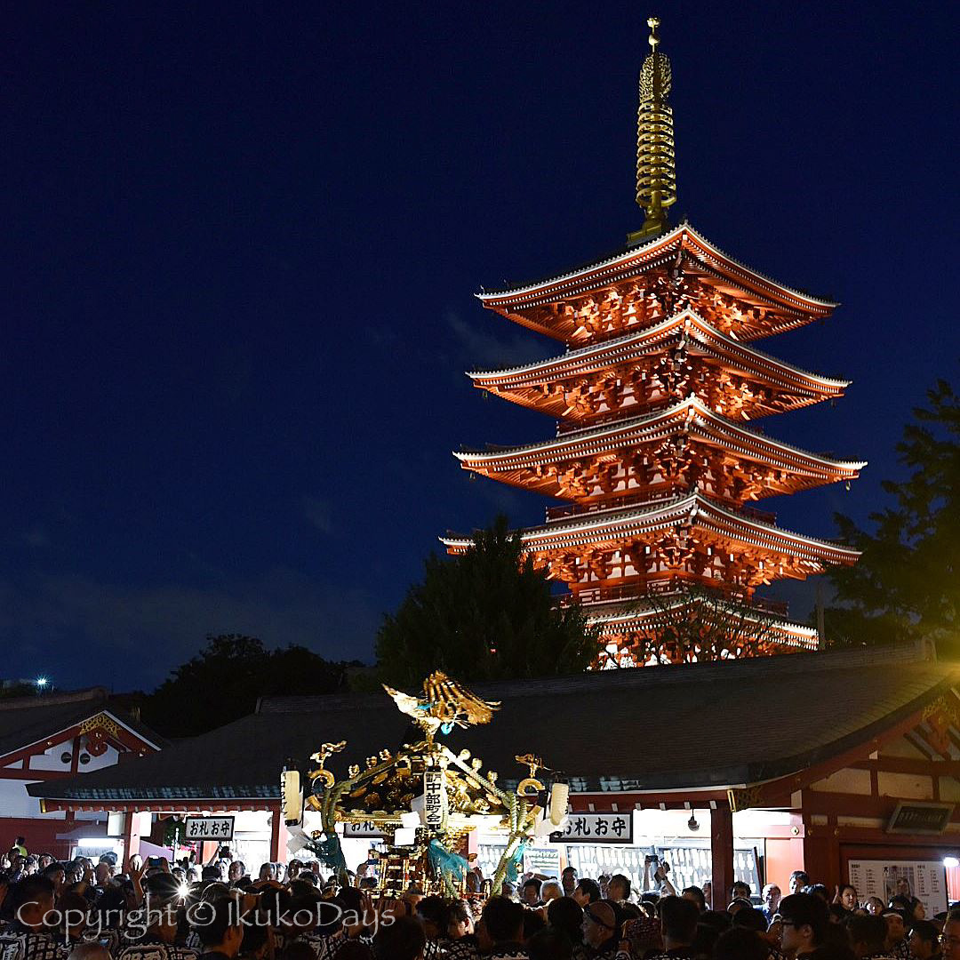 日本の祭りは夜が美しい：『三社祭』2018_d0114093_12474264.jpg