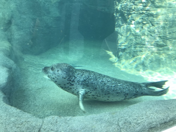 b0199097_12524724.jpeg